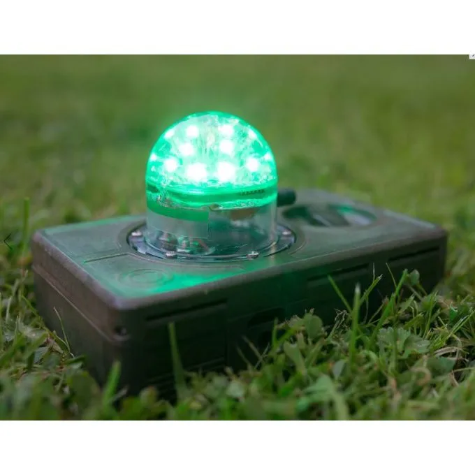 cirls_green.webp