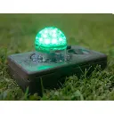 cirls_green.webp